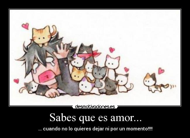 Sabes que es amor... - ... cuando no lo quieres dejar ni por un momento!!!!