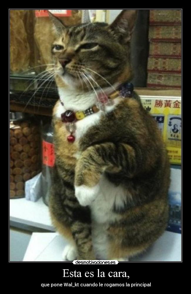 Esta es la cara, - que pone Wal_kt cuando le rogamos la principal