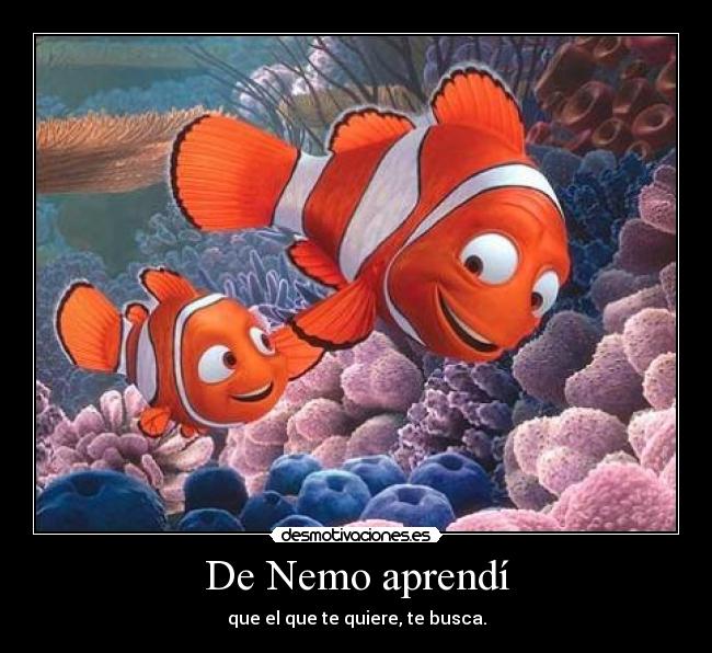 De Nemo aprendí - que el que te quiere, te busca.