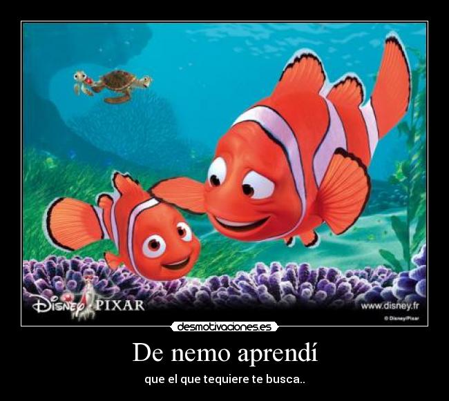 De nemo aprendí - 