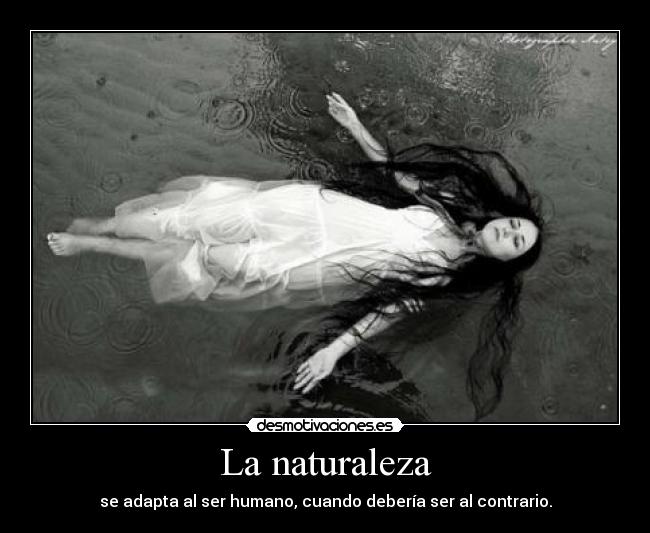 La naturaleza - 