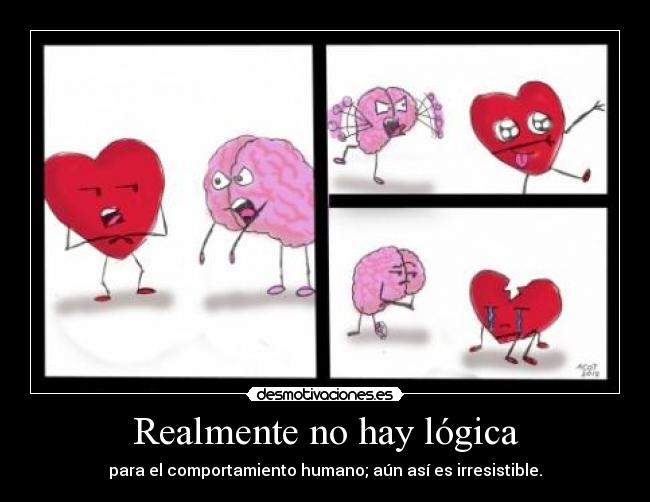 Realmente no hay lógica -