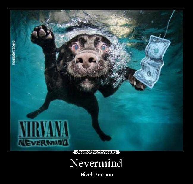 Nevermind - Nivel: Perruno