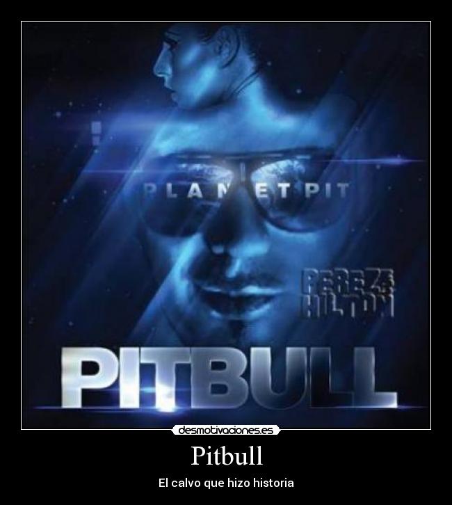 Pitbull - El calvo que hizo historia