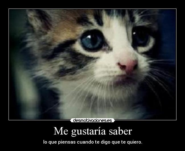 carteles pukerainbows the truth desmotivaciones