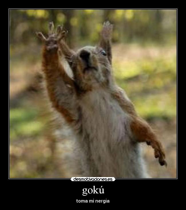 gokú - toma mi nergia