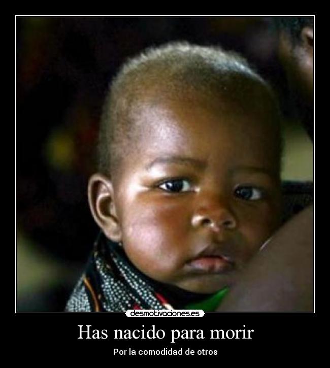 carteles bebes africanos etiopia hambre desmotivaciones