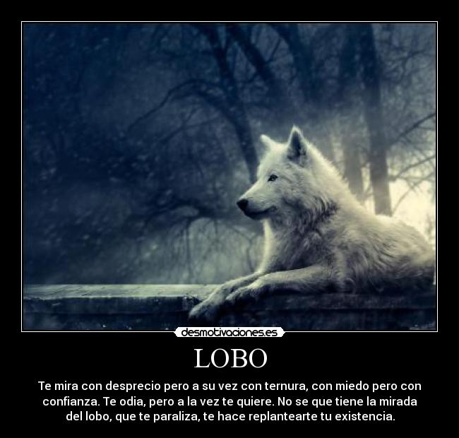 LOBO -