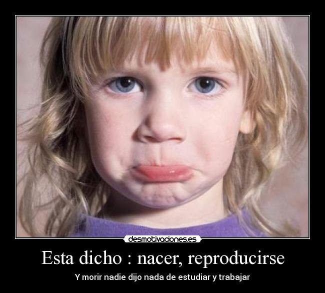 carteles nadie desmotivaciones