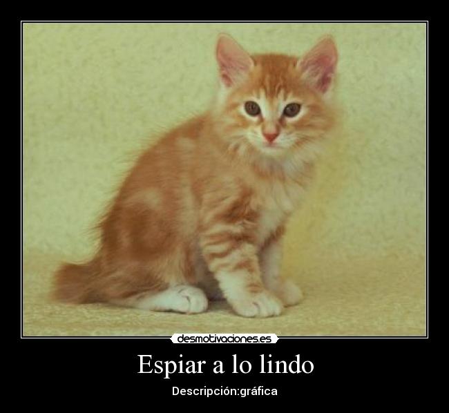 Espiar a lo lindo - Descripción:gráfica