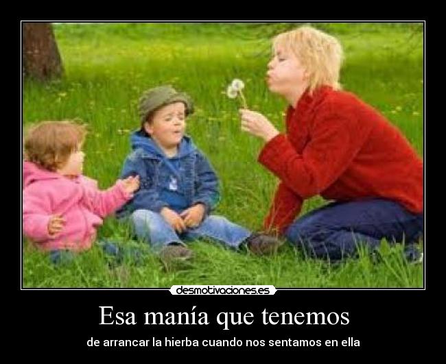 carteles arrancar hierba desmotivaciones