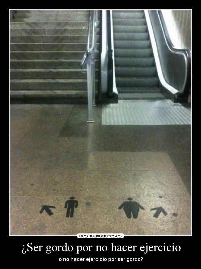 ¿Ser gordo por no hacer ejercicio -