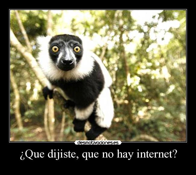 carteles internet internet desmotivaciones