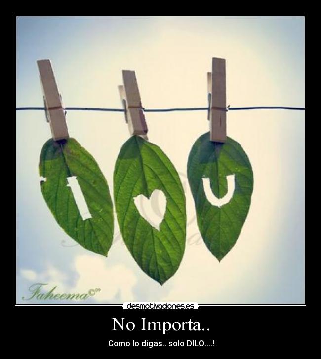 No Importa.. - Como lo digas.. solo DILO....!