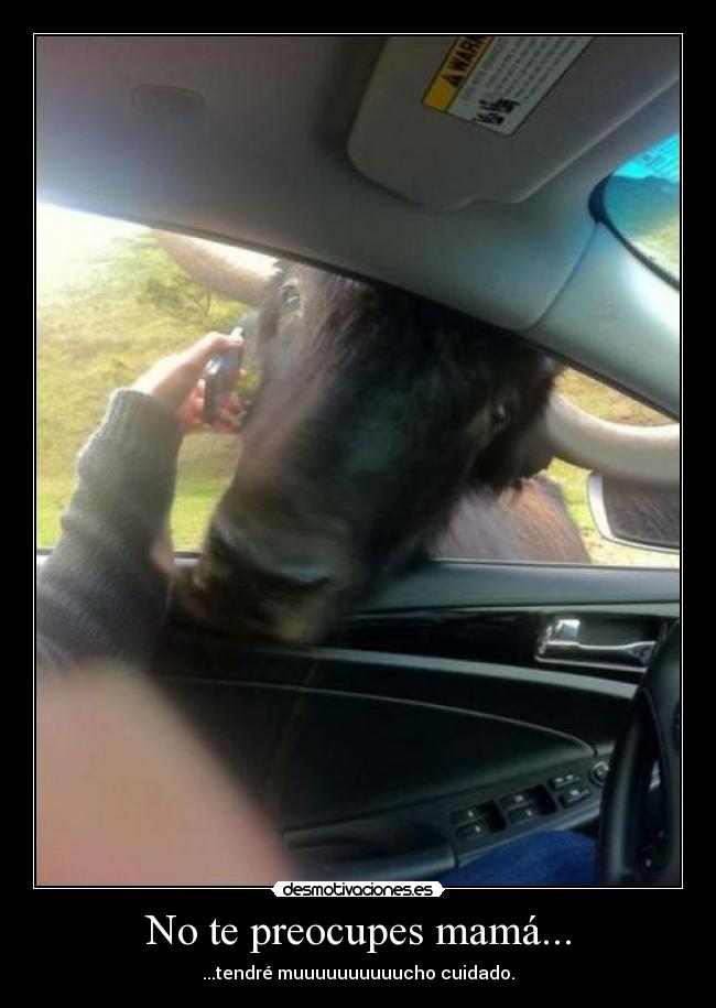 No te preocupes mamá... - ...tendré muuuuuuuuuucho cuidado.