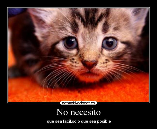No necesito -