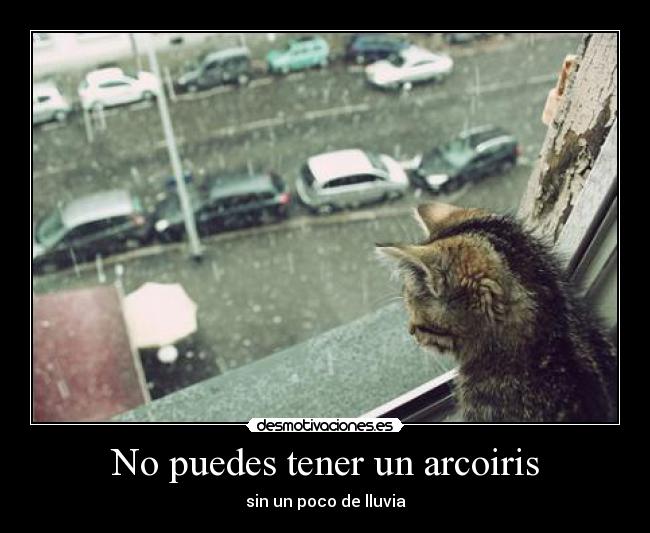No puedes tener un arcoiris -