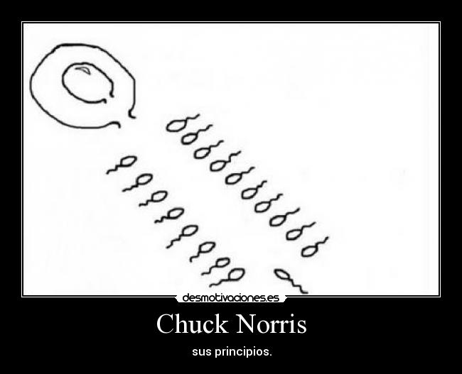 Chuck Norris -