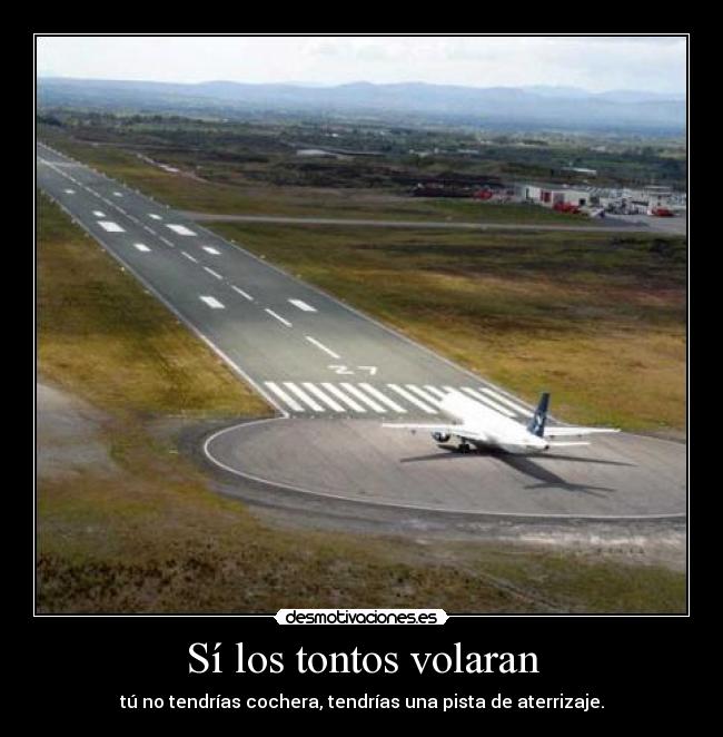 Sí los tontos volaran -