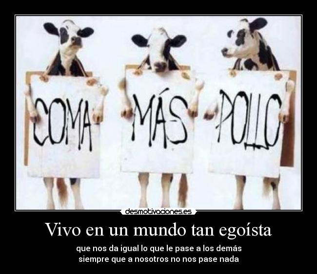 carteles mundo eften vaca pollo puta seria encantaba desmotivaciones