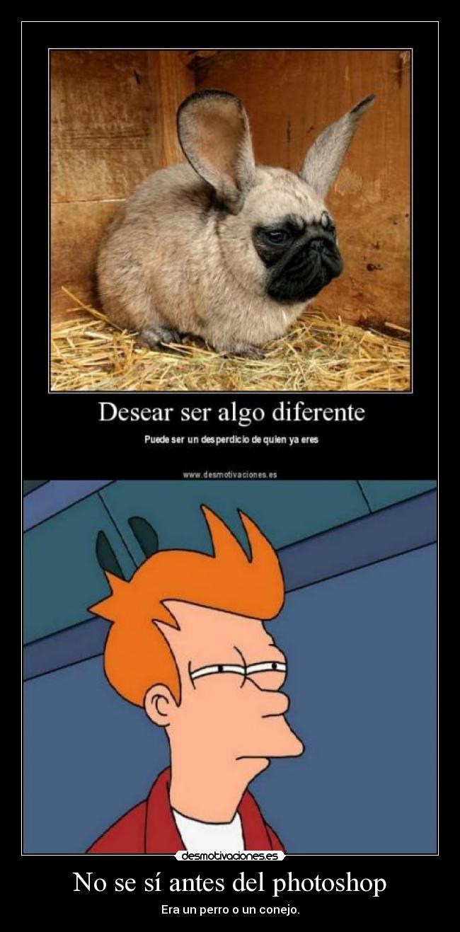 No se sí antes del photoshop - Era un perro o un conejo.