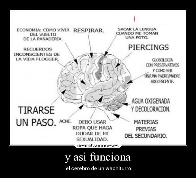 carteles wachiturros everywhere desmotivaciones