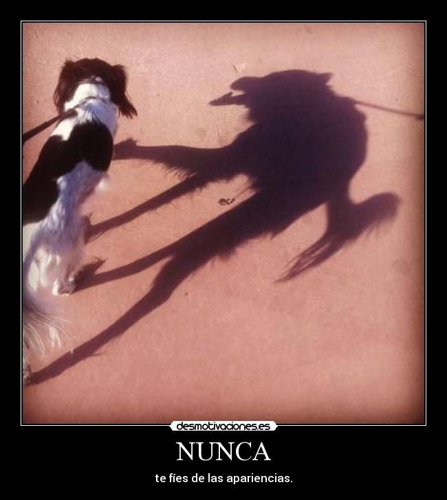 NUNCA - te fíes de las apariencias.