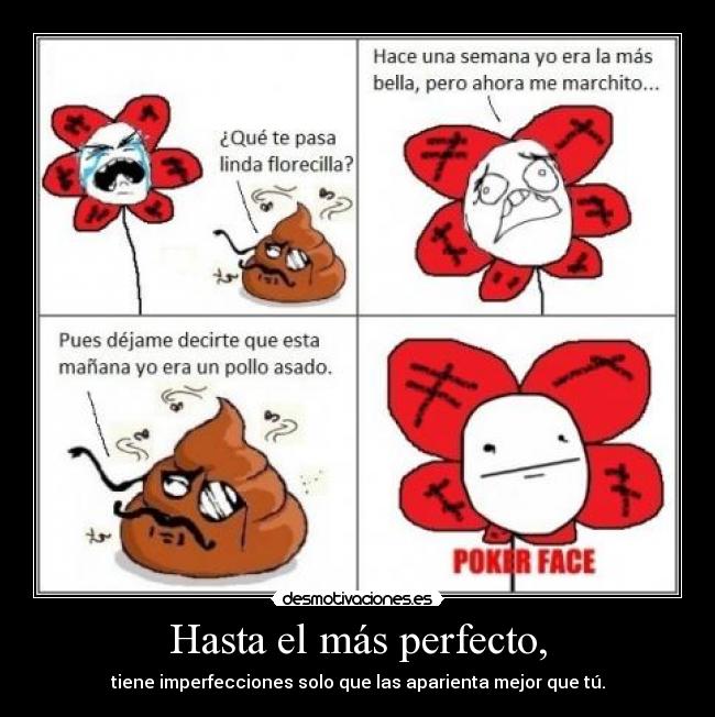 Hasta el más perfecto, - 