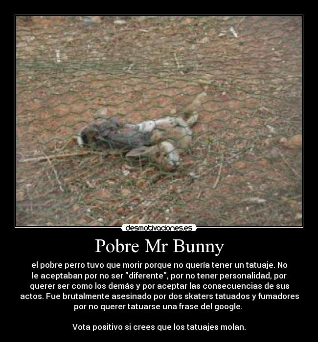 Pobre Mr Bunny - 