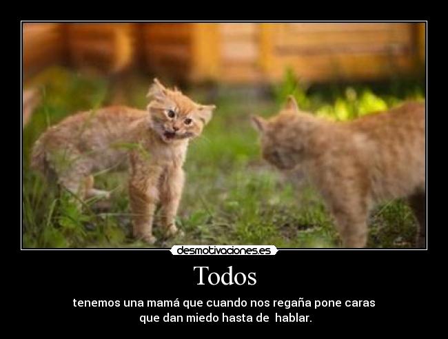 Todos - tenemos una mamá que cuando nos regaña pone caras
que dan miedo hasta de hablar.