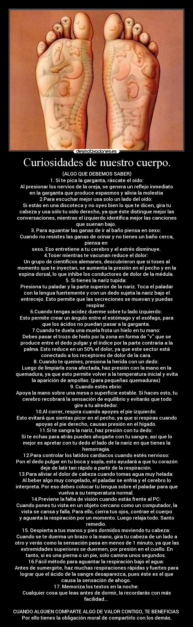 Curiosidades de nuestro cuerpo. - (ALGO QUE DEBEMOS SABER)
1. Si te pica la garganta, ráscate el oído:
Al presionar los nervios de la oreja, se genera un reflejo inmediato
en la garganta que produce espasmos y alivia la molestia 
2.Para escuchar mejor usa solo un lado del oído: 
Si estás en una discoteca y no oyes bien lo que te dicen, gira tu
cabeza y usa sólo tu oído derecho, ya que éste distingue mejor las
conversaciones, mientras el izquierdo identifica mejor las canciones
que suenan bajo. 
3. Para aguantar las ganas de ir al baño piensa en sexo: 
Cuando no resistes las ganas de orinar y no tienes un baño cerca,
piensa en 
sexo. Eso entretiene a tu cerebro y el estrés disminuye. 
4.Toser mientras te vacunan reduce el dolor: 
Un grupo de científicos alemanes, descubrieron que si toses al
momento que te inyectan, se aumenta la presión en el pecho y en la
espina dorsal, lo que inhibe los conductores de dolor de la médula. 
5. Si tienes la nariz tupida: 
Presiona tu paladar y la parte superior de la nariz. Toca el paladar
con la lengua fuertemente y con un dedo sujeta la nariz bajo el
entrecejo. Esto permite que las secreciones se muevan y puedas
respirar. 
6.Cuando tengas acidez duerme sobre tu lado izquierdo: 
Esto permite crear un ángulo entre el estómago y el esófago, para
que los ácidos no puedan pasar a la garganta. 
7.Cuando te duela una muela frota un hielo en tu mano: 
Debes pasar el trozo de hielo por la zona en forma de v que se
produce entre el dedo pulgar y el índice por la parte contraria a la
palma. Esto reduce en un 50% el dolor, ya que este sector está
conectado a los receptores de dolor de la cara. 
8. Cuando te quemes, presiona la herida con un dedo: 
Luego de limpiarla zona afectada, haz presión con la mano en la
quemadura, ya que esto permite volver a la temperatura inicial y evita
la aparición de ampollas. (para pequeñas quemaduras) 
9. Cuando estés ebrio: 
Apoya la mano sobre una mesa o superficie estable. Si haces esto, tu
cerebro recobrará la sensación de equilibrio y evitarás que todo
gire a tu alrededor. 
10.Al correr, respira cuando apoyes el pie izquierdo: 
Esto evitará que sientas picor en el pecho, ya que si respiras cuando
apoyas el pie derecho, causas presión en el hígado. 
11.Si te sangra la nariz, haz presión con tu dedo: 
Si te echas para atrás puedes ahogarte con tu sangre, así que lo
mejor es apretar con tu dedo el lado de la nariz en que tienes la
hemorragia. 
12.Para controlar los latidos cardiacos cuando estés nervioso: 
Pon el dedo pulgar en tu boca y sopla, esto ayudará a que tu corazón
deje de latir tan rápido a partir de la respiración. 
13.Para aliviar el dolor de cabeza cuando tomas agua muy helada: 
Al beber algo muy congelado, el paladar se enfría y el cerebro lo
interpreta. Por eso debes colocar tu lengua sobre el paladar para que
vuelva a su temperatura normal. 
14.Previene la falta de visión cuando estás frente al PC: 
Cuando pones tu vista en un objeto cercano como un computador, la
vista se cansa y falla. Para ello, cierra tus ojos, contrae el cuerpo
y aguanta la respiración por un momento. Luego relaja todo. Santo
remedio. 
15. Despierta a tus manos y pies dormidos moviendo tu cabeza: 
Cuando se te duerma un brazo o la mano, gira tu cabeza de un lado a
otro y verás como la sensación pasa en menos de 1 minuto, ya que las
extremidades superiores se duermen, por presión en el cuello. En
tanto, si es una pierna o un pie, solo camina unos segundos. 
16.Fácil método para aguantar la respiración bajo el agua: 
Antes de sumergirte, haz muchas respiraciones rápidas y fuertes para
lograr que el ácido de la sangre desaparezca, pues éste es el que
causa la sensación de ahogo. 
17. Memoriza los textos en la noche: 
Cualquier cosa que leas antes de dormir, la recordarás con más
facilidad... 

CUANDO ALGUIEN COMPARTE ALGO DE VALOR CONTIGO, TE BENEFICIAS 
Por ello tienes la obligación moral de compartirlo con los demás.