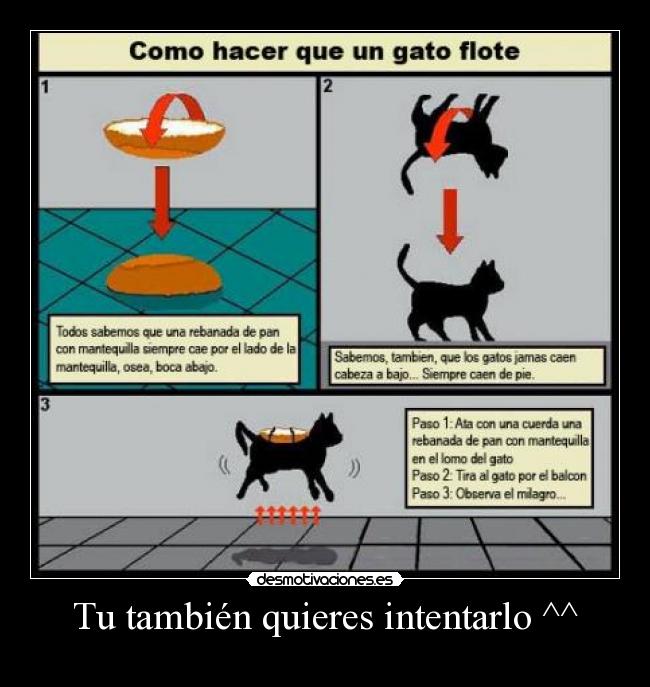 Tu también quieres intentarlo ^^ -