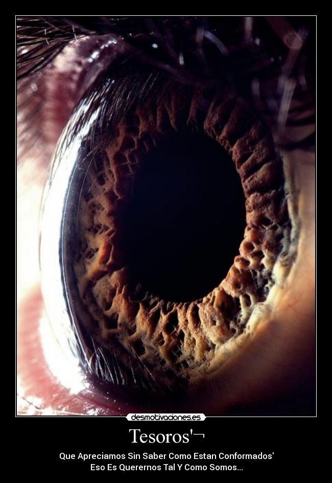 Tesoros¬ - 