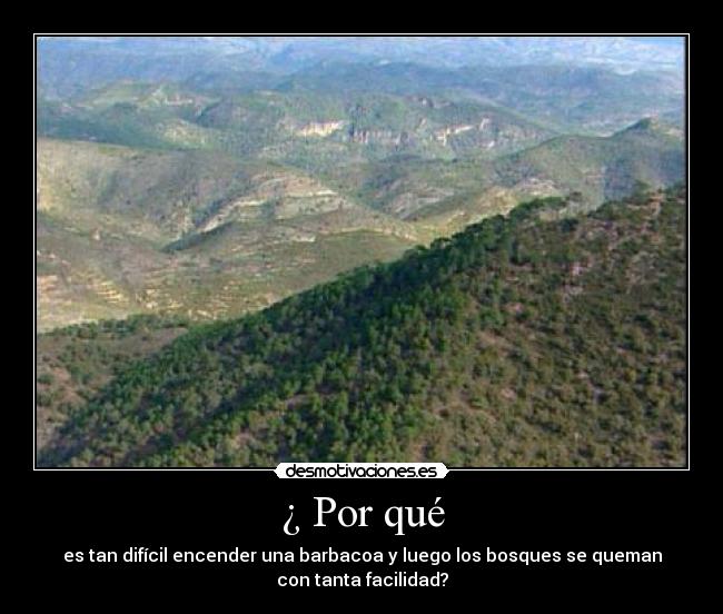 ¿ Por qué - es tan difícil encender una barbacoa y luego los bosques se queman
con tanta facilidad?