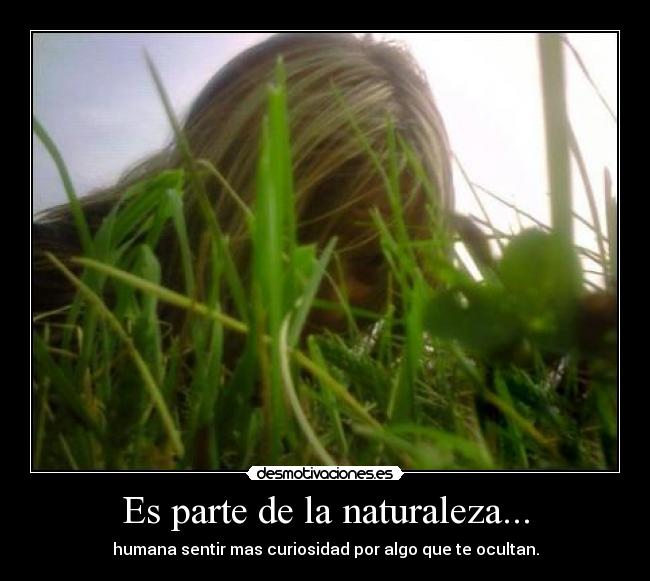 Es parte de la naturaleza... -