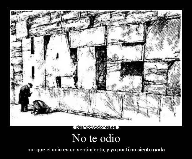 No te odio -
