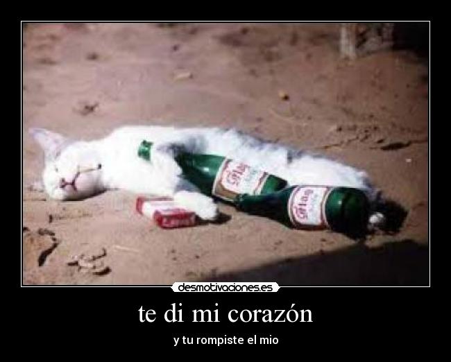 te di mi corazón - y tu rompiste el mio