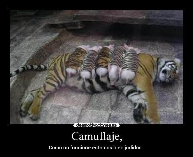 Camuflaje, - Como no funcione estamos bien jodidos...