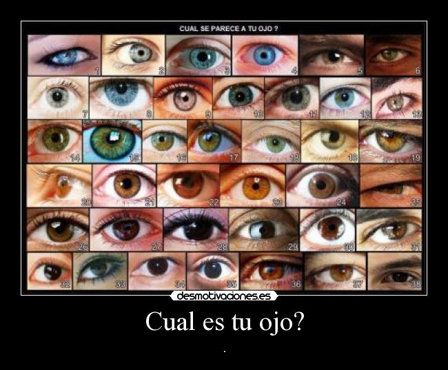 Cual es tu ojo? - .