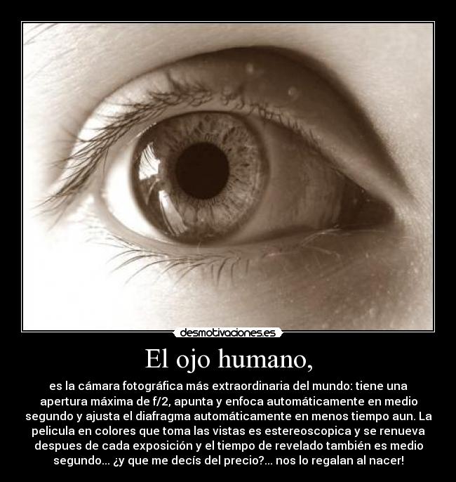 El ojo humano, - es la cámara fotográfica más extraordinaria del mundo: tiene una
apertura máxima de f/2, apunta y enfoca automáticamente en medio
segundo y ajusta el diafragma automáticamente en menos tiempo aun. La
pelicula en colores que toma las vistas es estereoscopica y se renueva
despues de cada exposición y el tiempo de revelado también es medio
segundo... ¿y que me decís del precio?... nos lo regalan al nacer!