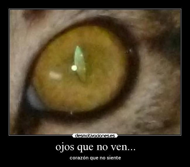 ojos que no ven... - 