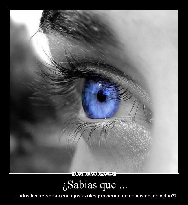 ¿Sabias que ... - ... todas las personas con ojos azules provienen de un mismo individuo??