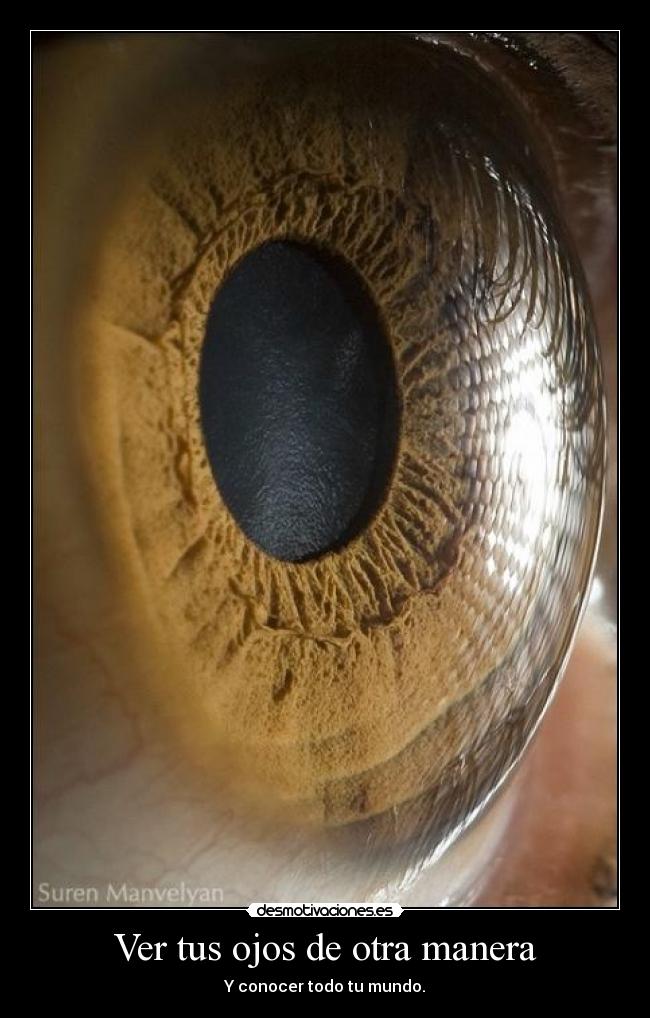 Ver tus ojos de otra manera - Y conocer todo tu mundo.