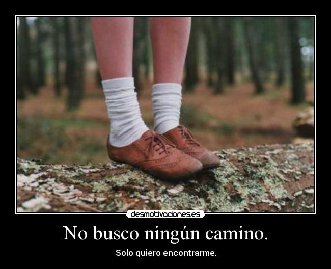 carteles lalocuna que odias profe lengua cronicasdeunalocasinsentido pablo sam que quiero desmotivaciones