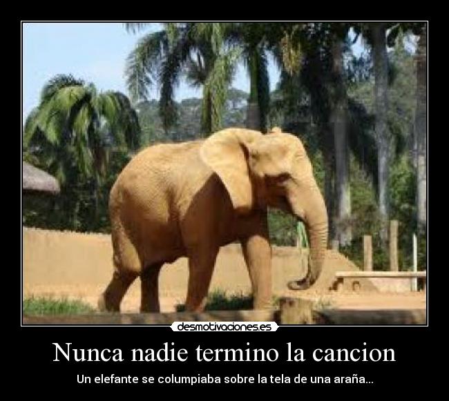Nunca nadie termino la cancion -
