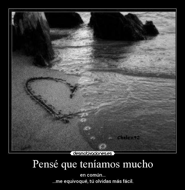 Pensé que teníamos mucho - en común...
...me equivoqué, tú olvidas más fácil.