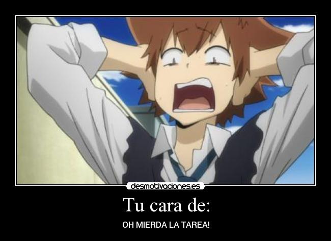 carteles tsuna kyoko katekyo hitman reborn desmotivaciones