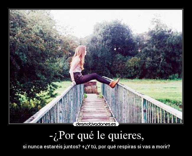 -¿Por qué le quieres, - 