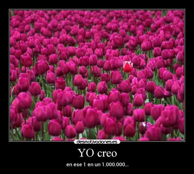 YO creo -