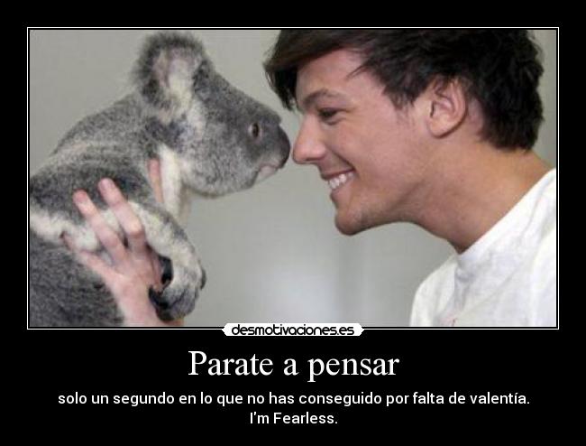 carteles louis tomlinson one direction koala piensa fearless desmotivaciones